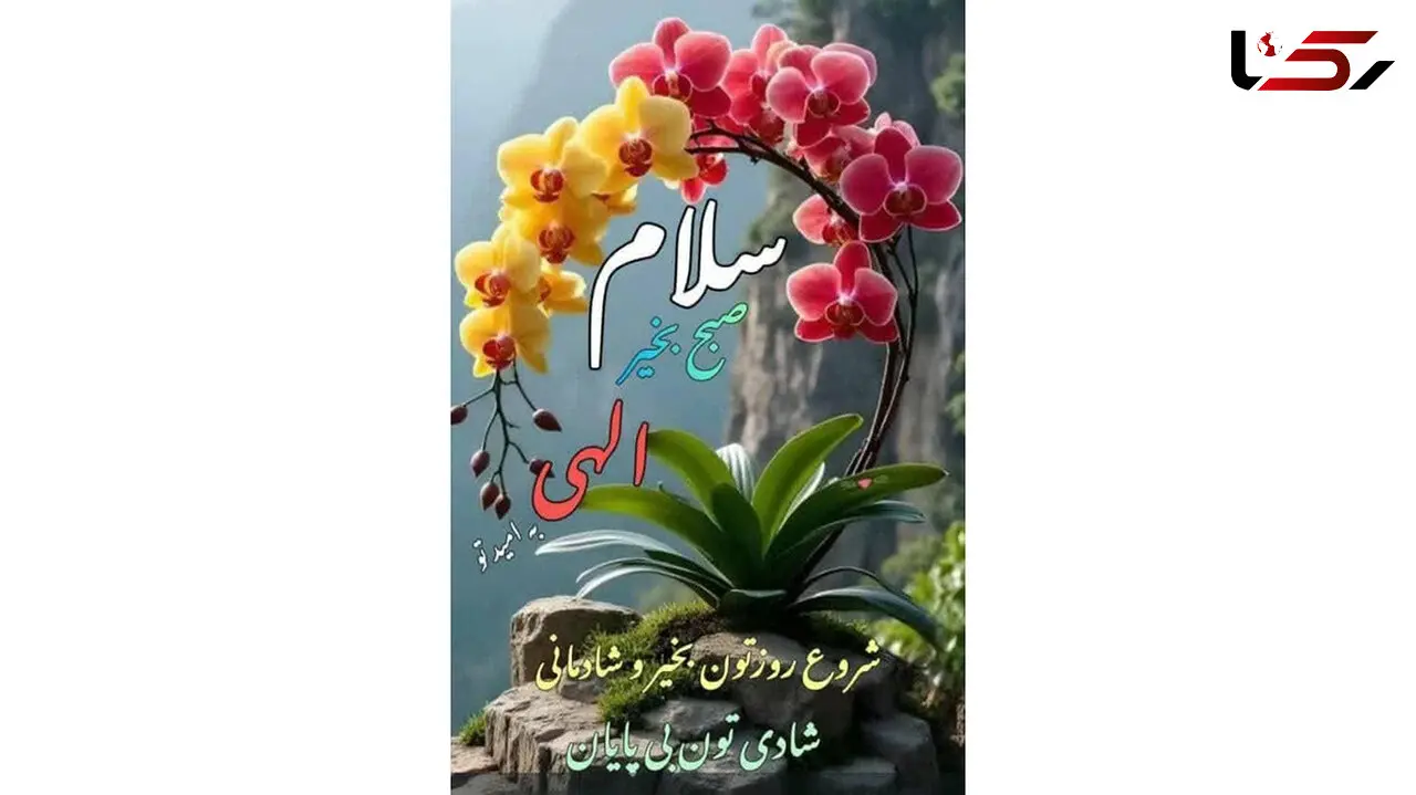 تعبیر فال ابجد امروز 29 آذر