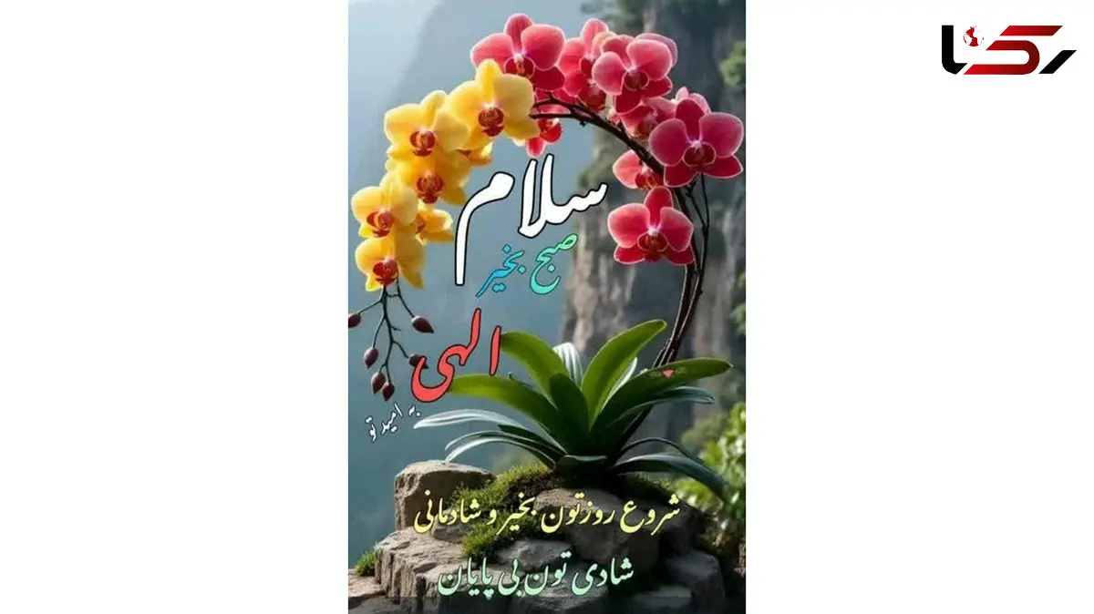 تعبیر فال ابجد امروز 29 آذر