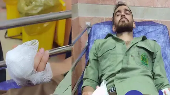 قطع انگشت مأمور منابع طبیعی بابل در جریان خلع ید از اراضی ملی