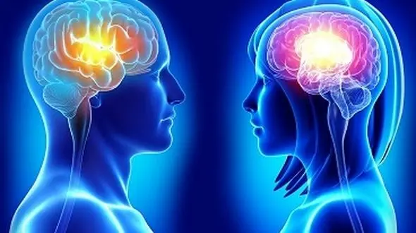 در مغز زنان چه می گذرد؟ چرا خانم ها بیش از مردان حرف می زنند؟