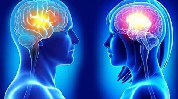 در مغز زنان چه می گذرد؟ چرا خانم ها بیش از مردان حرف می زنند؟