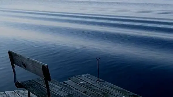 از خواسته های خود پا پس نکشید