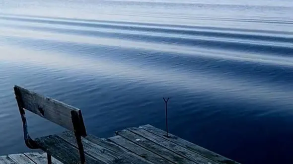 از خواسته های خود پا پس نکشید