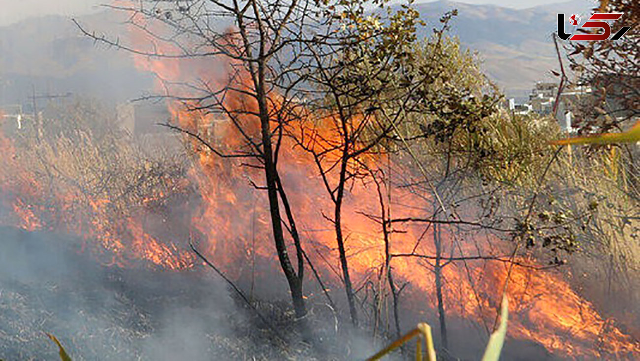 هشدار هواشناسی مازندران درباره آتش سوزی در جنگل‌ و مراتع