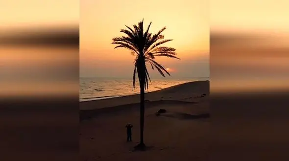 امتداد ساحل ایران تا اقیانوس هند + فیلم 