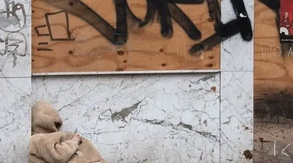 رفاقت کرونا با مردان ثروتمند جهان!  + اسامی 10 مرد ثروتمند جهان