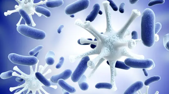 آسیب های کبدی با مصرف بیش از اندازه اکسید روی