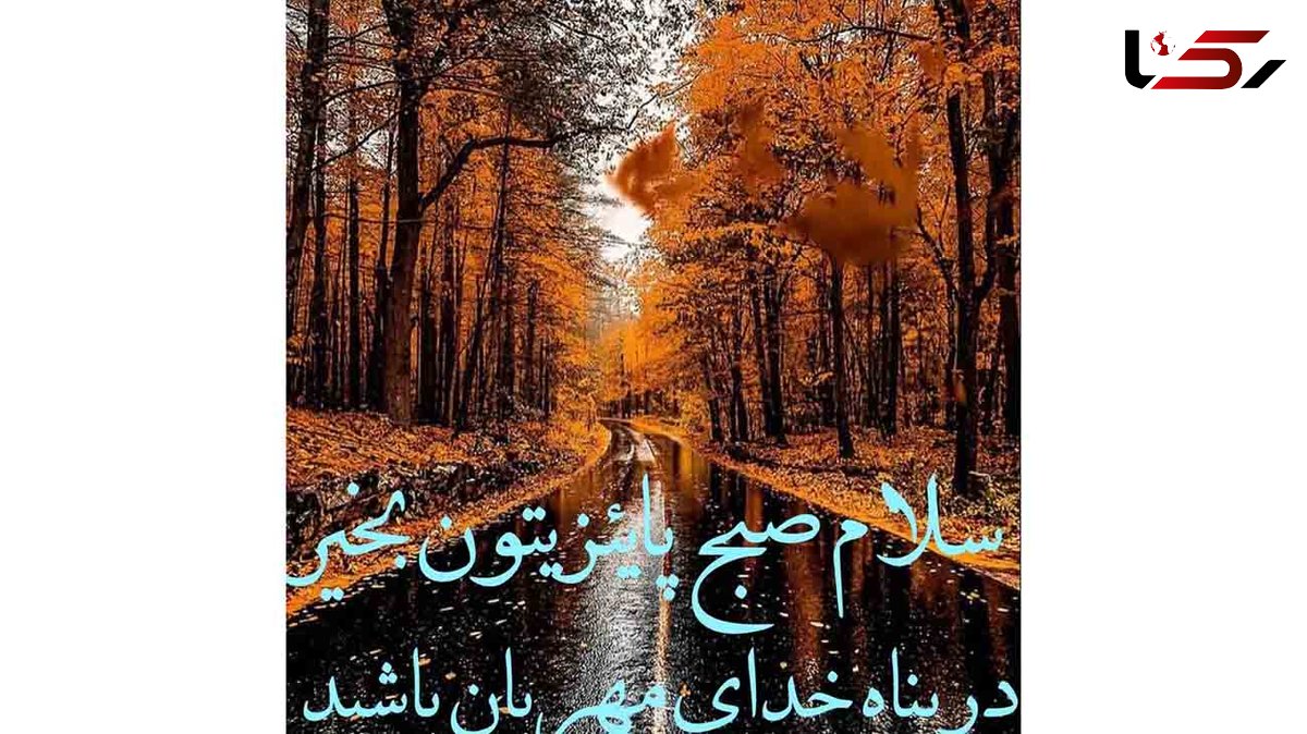 فال روزانه شما چه می گوید؟ / 26 مهر 1402 + فیلم