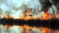 دستگیری عامل آتش زدن نیزارهای تالاب شادگان 