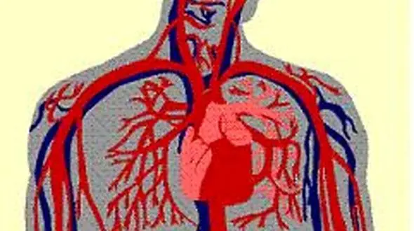 شایع ترین بیماری های گردش خون 