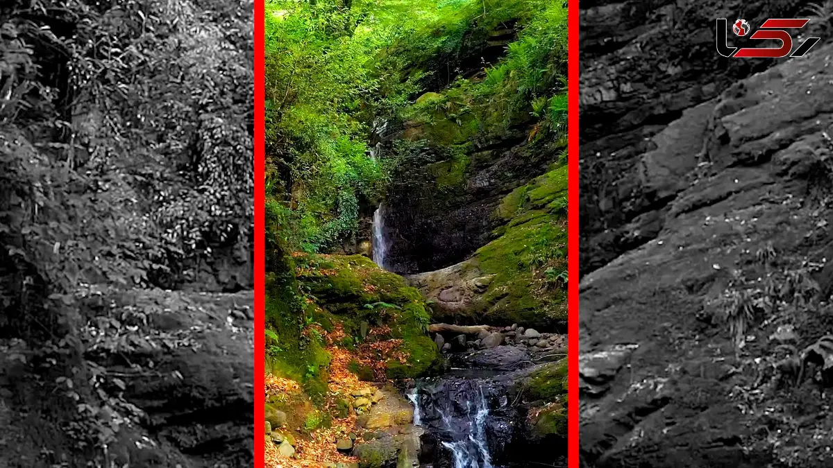 فیلم آبشار زیبای جنگل های هیرکانی سوادکوه