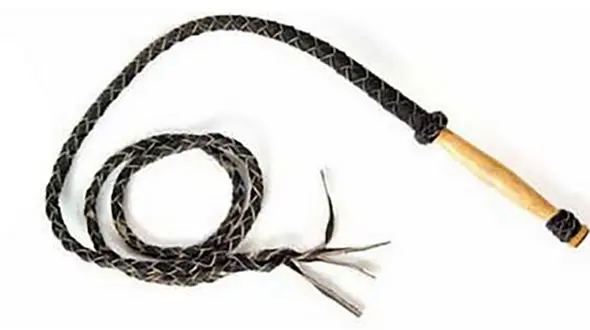 شلاق برای 16 قمارباز قزوینی