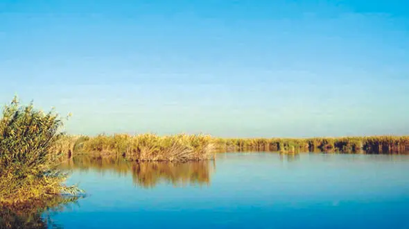 آهوها و آدم‌ها در محاصره شعله‌های سوزان / مسوولان خوزستان چه گفتند؟ + عکس