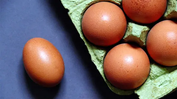 راه های تشخیص تخم مرغ ناسالم 