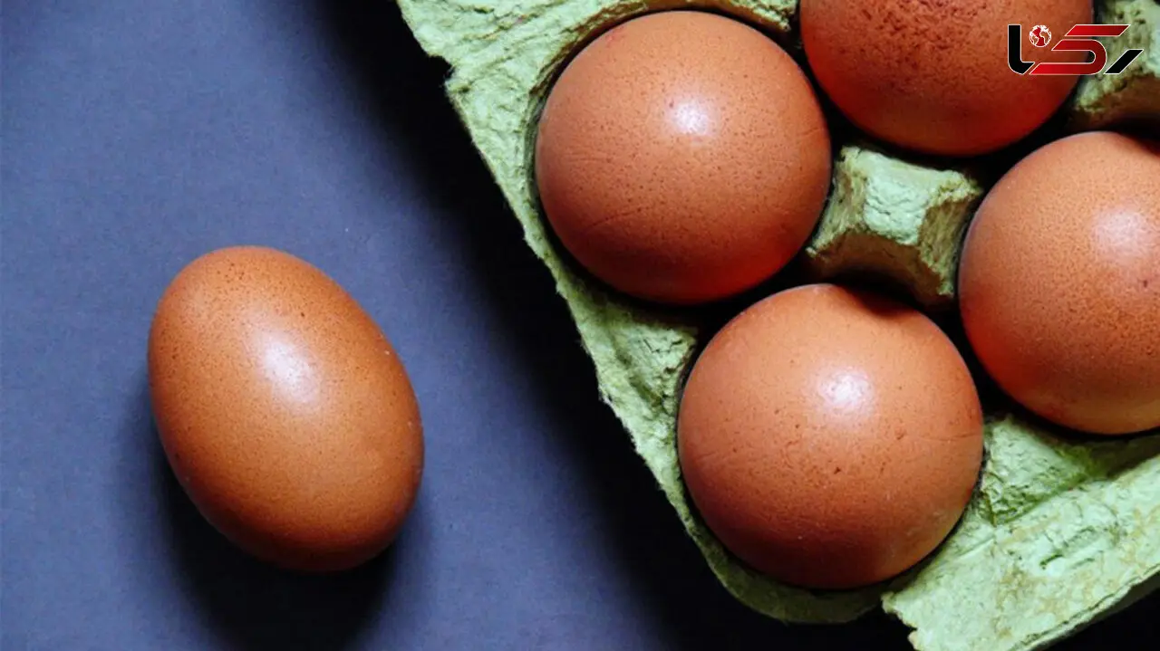 مصرف بیش از حد تخم مرغ چه بلایی سرتان می آورد؟
