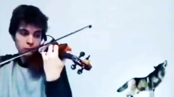 از این ویولن صدای حیوانات می آید + فیلم