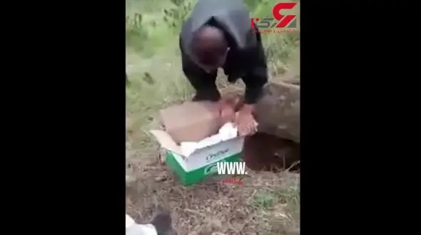 نوزاد زنده به گور پس از دفن زنده شد! / در چین اتفاق افتاد+ فیلم 