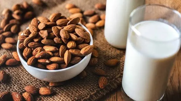 این ترکیبات مرهم زخم معده شما هستند + طرز تهیه و میزان مصرف