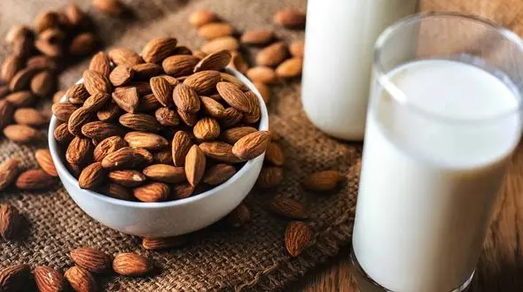 این ترکیبات مرهم زخم معده شما هستند + طرز تهیه و میزان مصرف