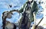 افزایش آمار شکار غیرمجاز برای تفریح شکارچیان در دوران کرونایی!