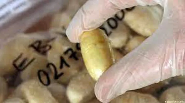 این مرد آبروی ایرانی ها را در شهر آغری ترکیه برد + فیلم