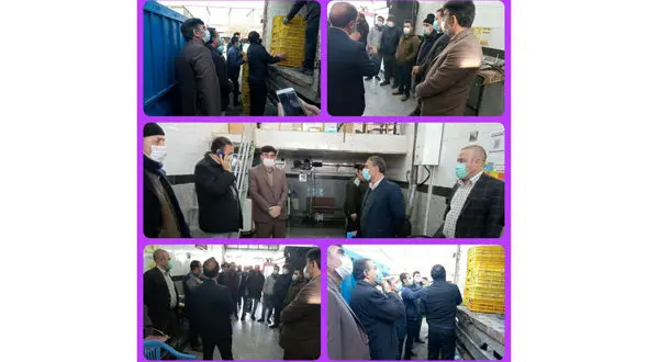 پخش و توزیع مرغ گرم کشتار روز به قیمت تنظیم بازار در هشترود 