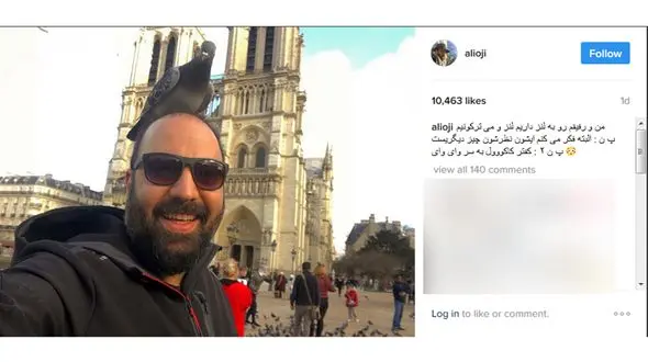 کفتری که بر سر بازیگر نشست! +عکس 