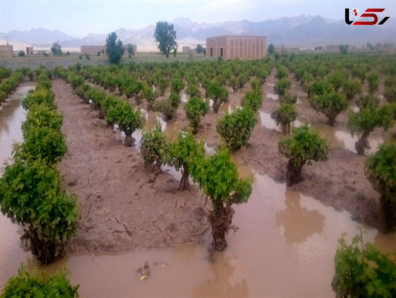 تخریب ۲ هزار و ۵۰۰ کیلومتر کانال کشاورزی بر اثر سیلاب