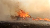گلستان| آتش‌سوزی در جنگل‌های شهرستان مینودشت مهار شد 