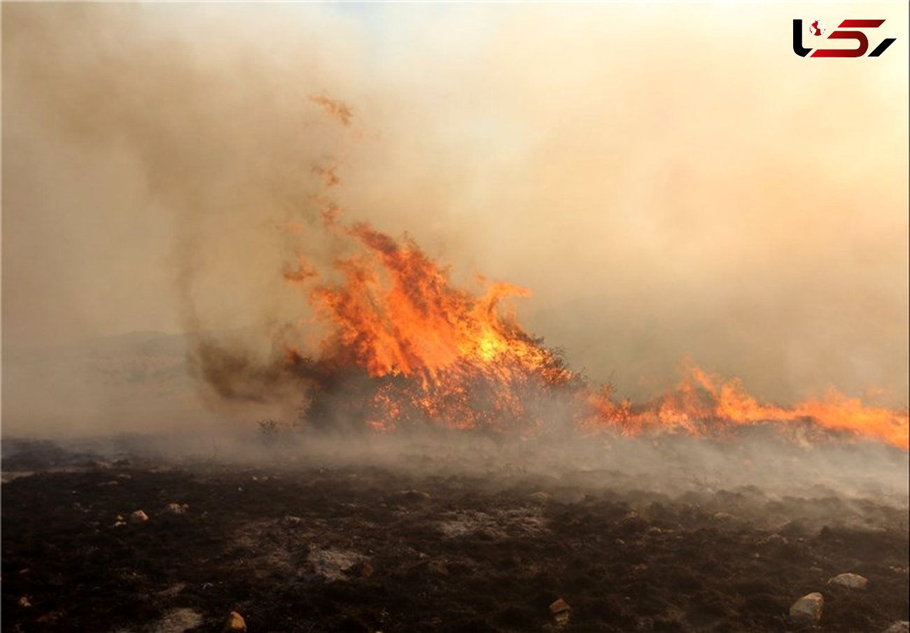 گلستان| آتش‌سوزی در جنگل‌های شهرستان مینودشت مهار شد 