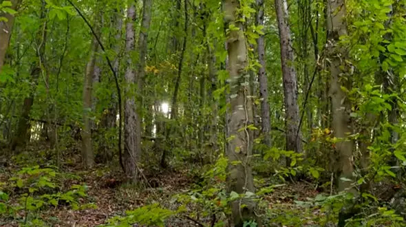 فال ابجد محشر 9 مهر 