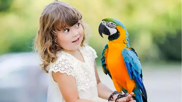 این حیوان، زیباترین جاندار دنیا شد ! + عکس