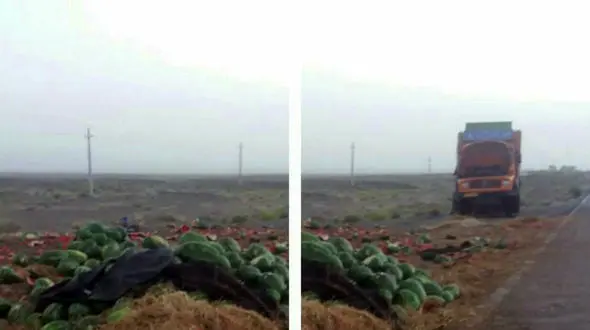 امحا هندوانه صادراتی ایران به ترکیه