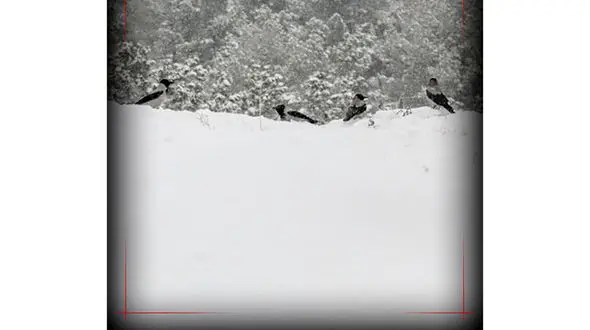  آبعلی در برف دفن شد / رکورد بارش برف 