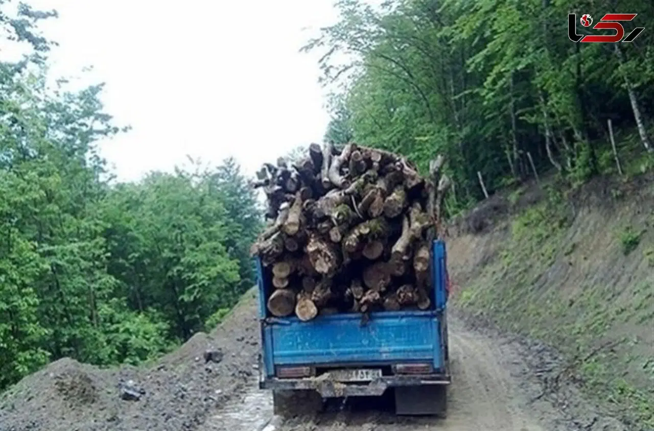 دستگیری قاچاقچی چوب در مسجد سلیمان 