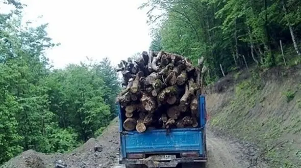 دستگیری قاچاقچی چوب در مسجد سلیمان 