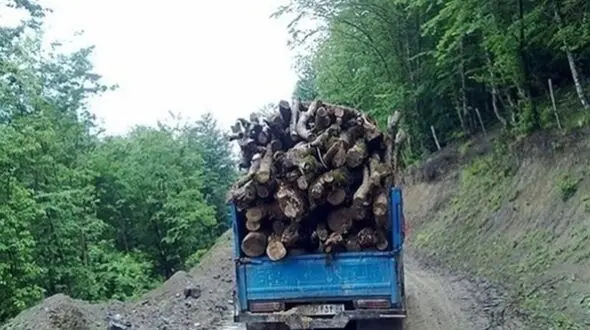 دستگیری قاچاقچی چوب در مسجد سلیمان 