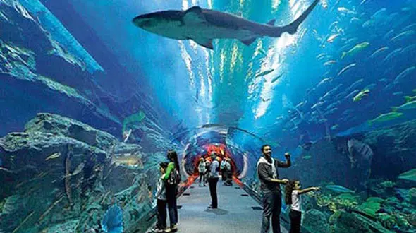 در سفر به دبی سری هم به بزرگترین آکواریوم جهان بزنید