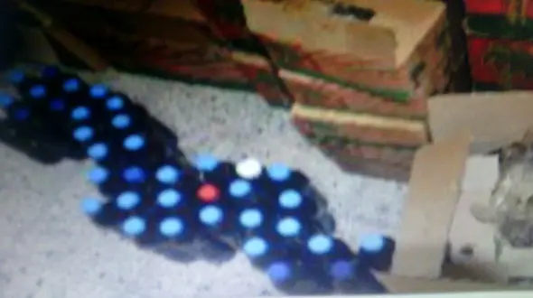 کشف۲۳کیلوگرم تریاک از بار خرما +عکس