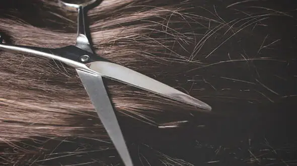 حمله به زن های یک محله و سرقت موهایشان در حالت بی هوشی !