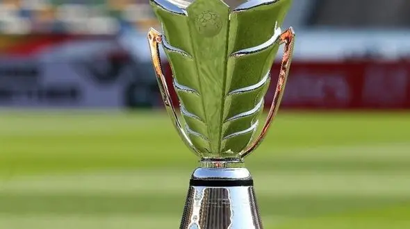 میزبانان نهایی جام ملت‌های آسیا