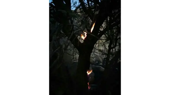 آتش سوزی در جنگل های هیرکانی / اطفای حریق هوایی آغاز شد