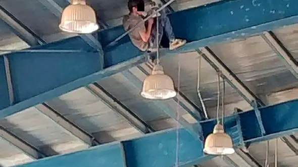 بازداشت «مارمولک» در سالن ورزشی! / تبهکاری که از دیوار 7 متری بالا می رفت