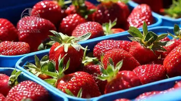 راز علمی پشت علاقه شما به غذاهای رنگارنگ چیست؟