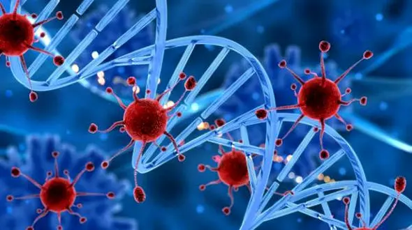 چه خوراکی هایی جلوی سرطان را می گیرد؟ 