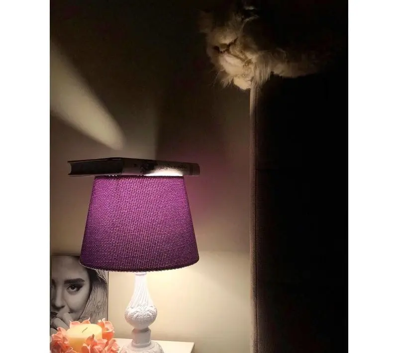 منزل نرگس محمدی