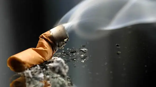 کودکان متولد از مادران سیگاری در معرض چاقی هستند