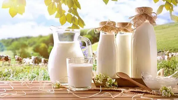 بهترین زمان های مصرف شیر 