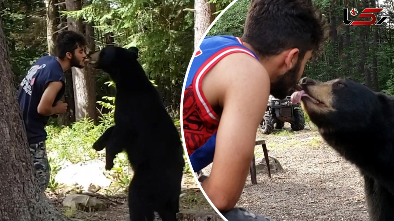 غذا دادن به یک خرس وحشی در جنگل به شیوه‌ای خطرناک + فیلم