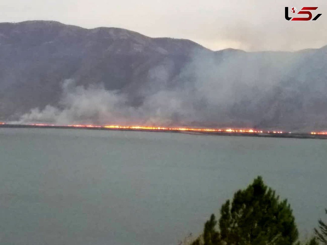 بزرگترین آتش‌سوزی دریاچه زریبار مریوان